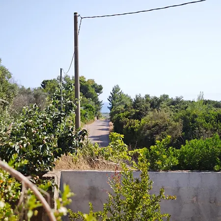 Pesce 8 Ospiti Con Giardino E Parcheggio Privato Σπίτι διακοπών *