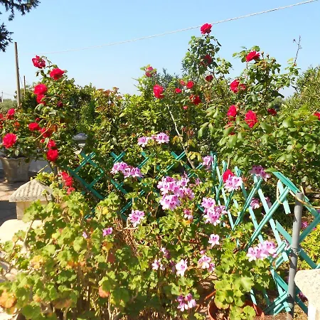 Pesce 8 Ospiti Con Giardino E Parcheggio Privato Torre Pali