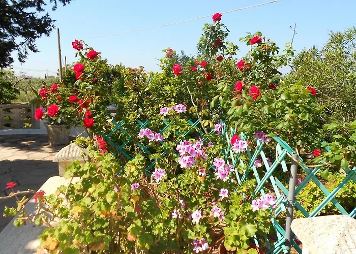 Pesce 8 Ospiti Con Giardino E Parcheggio Privato Torre Pali